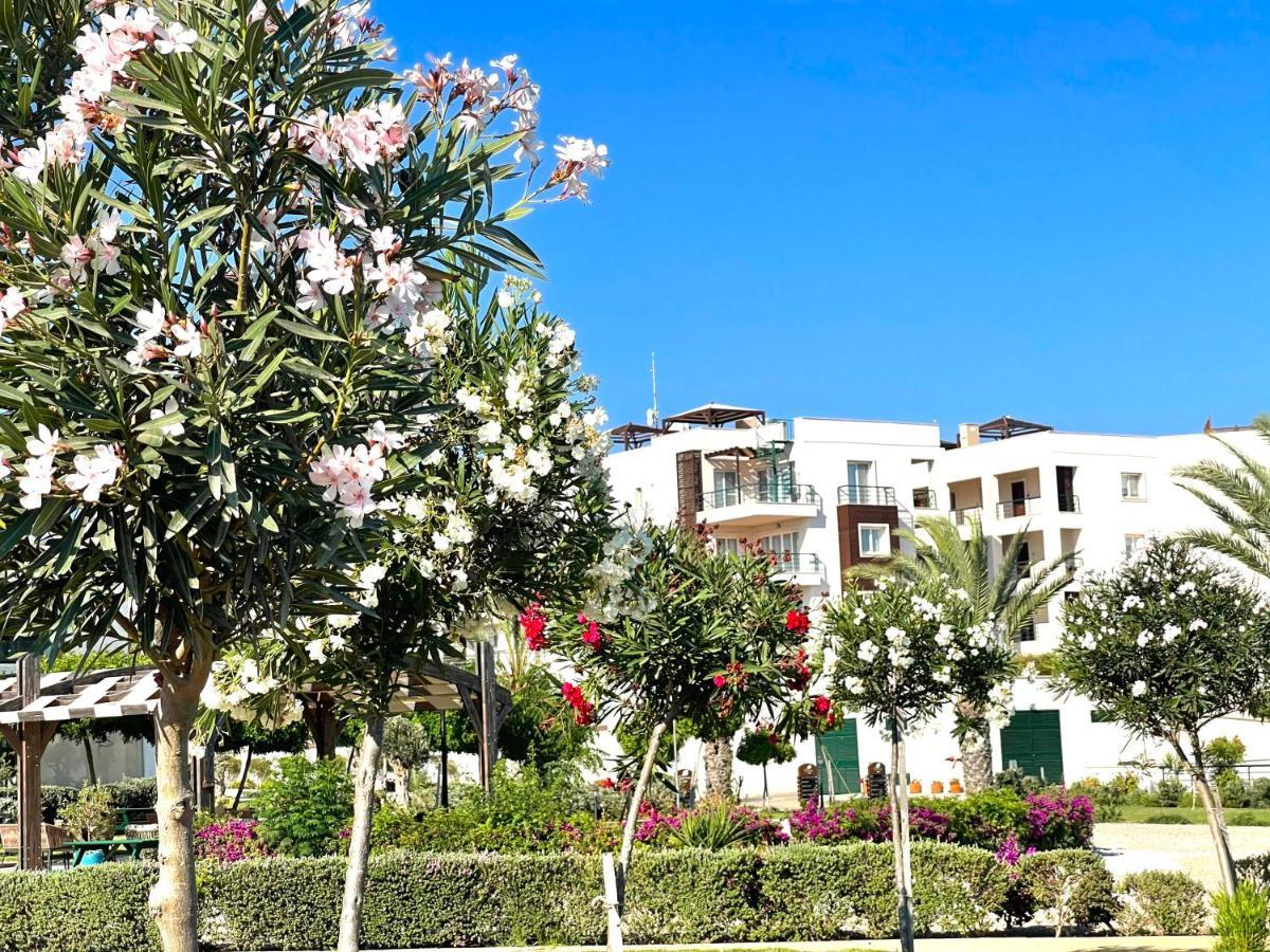 Relaxing Penthouse Suites By The Sea Vokolidha Ngoại thất bức ảnh